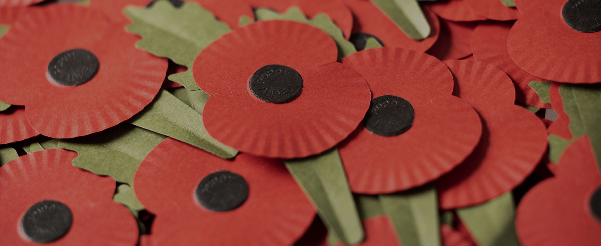 About the Poppy Shop