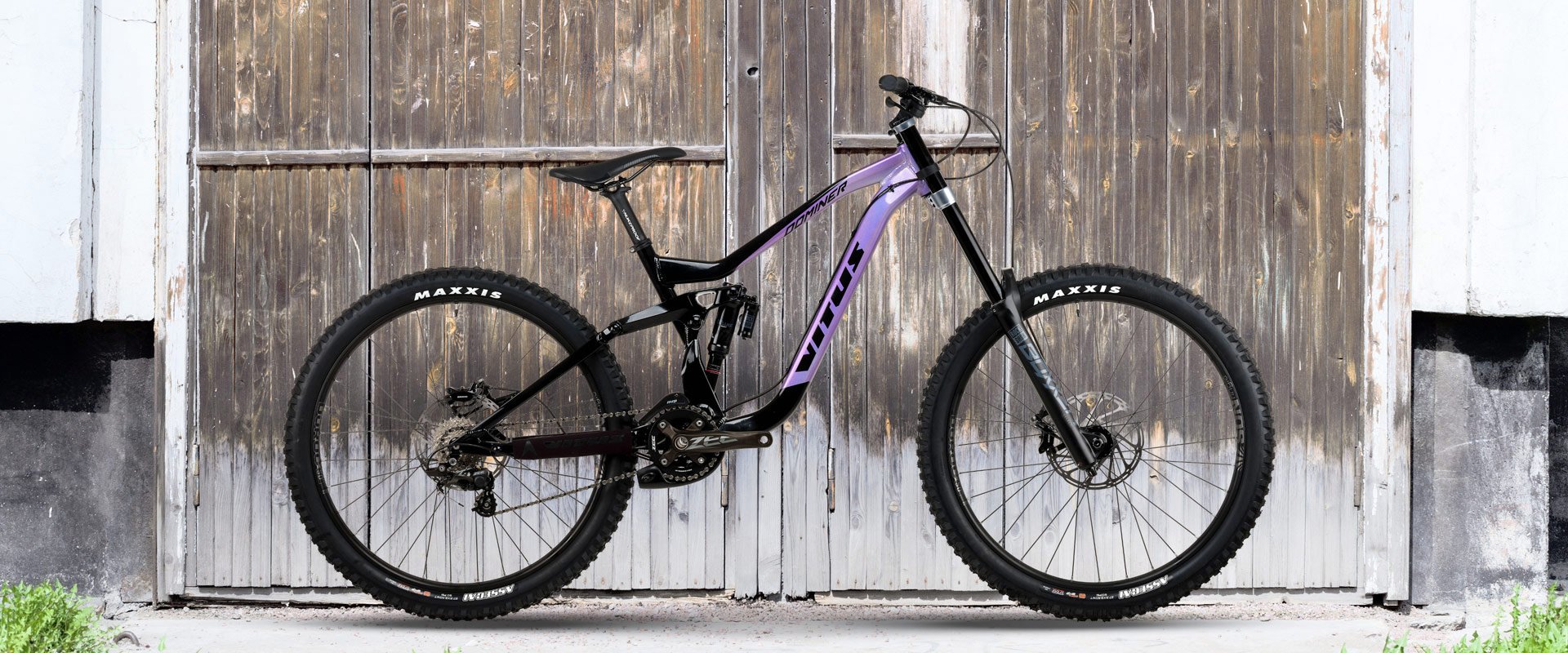 Dominer DH Bike Zee