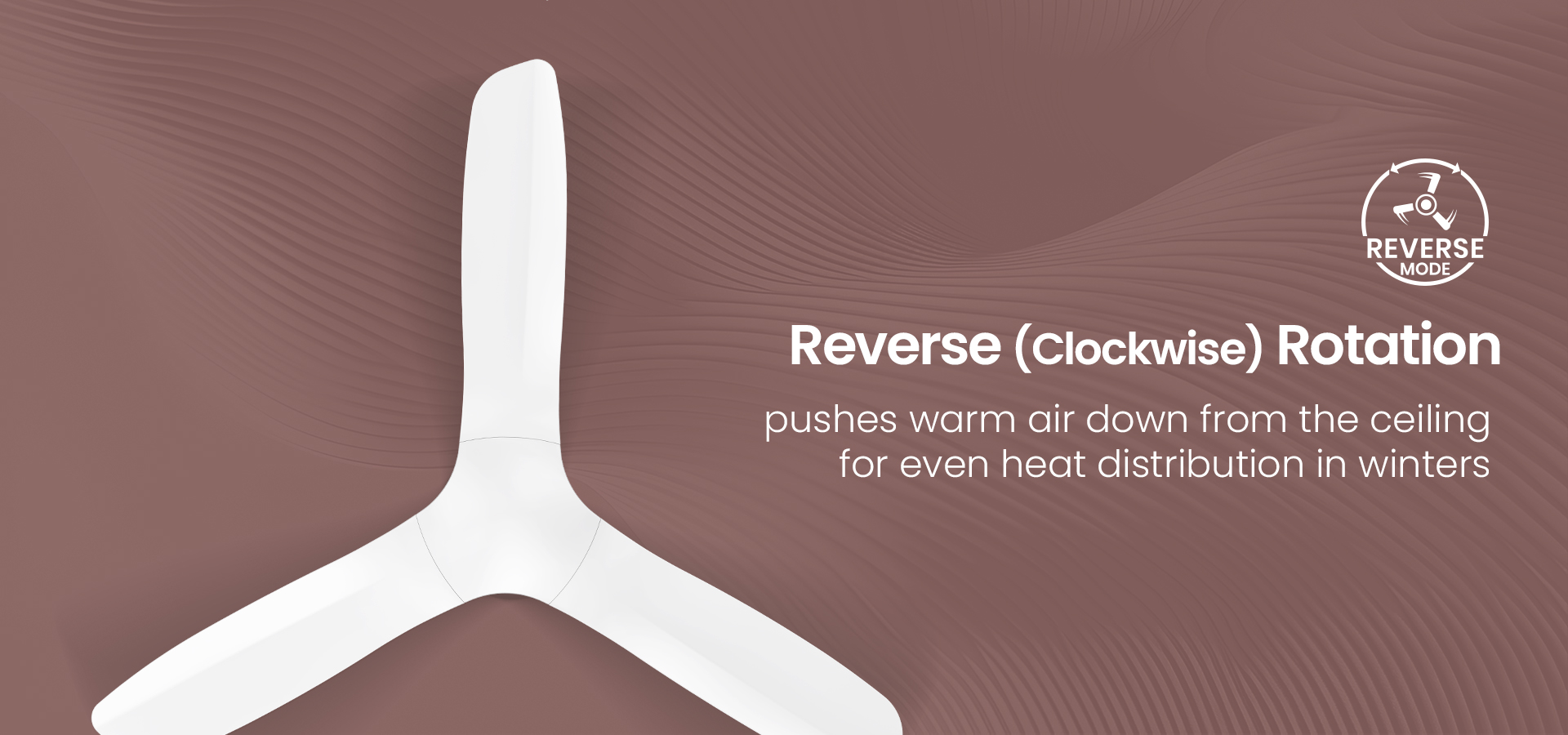 Reverse(Clockwise) Rotation