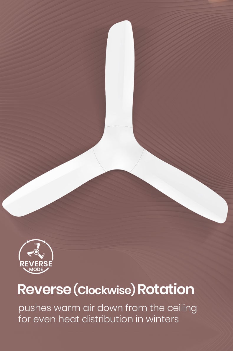 Reverse(Clockwise) Rotation