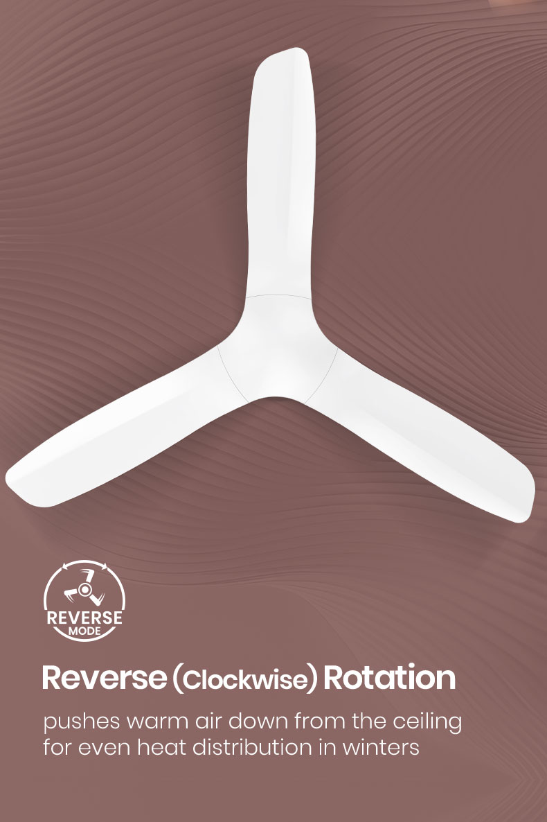 Reverse(Clockwise) Rotation