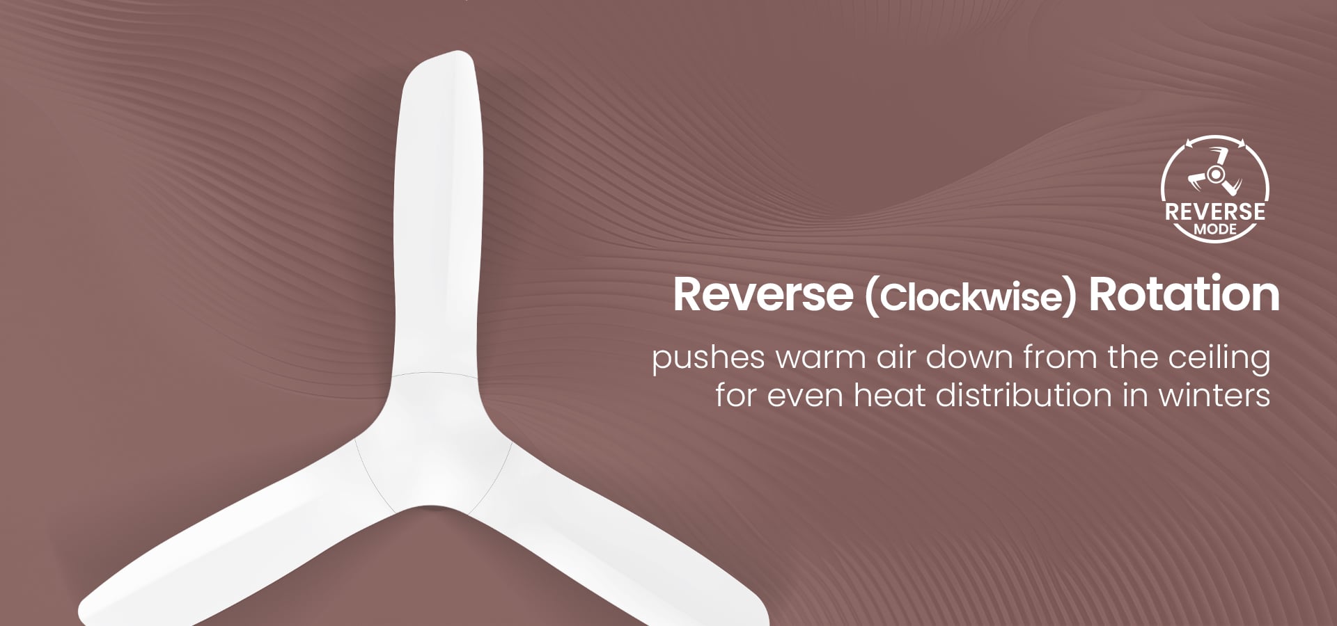 Reverse(Clockwise) Rotation