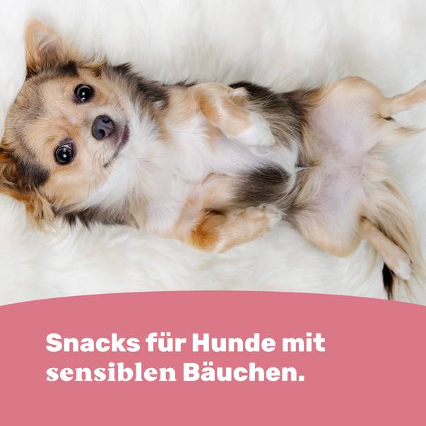 Snacks für Hunde mit sensiblen Bäuchen.