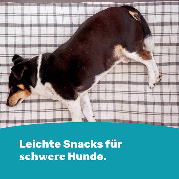 Leichte Snacks für schwere Hunde.