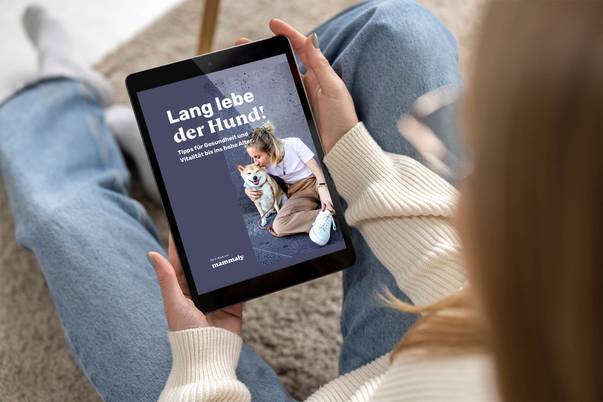 Vitalität & Balance