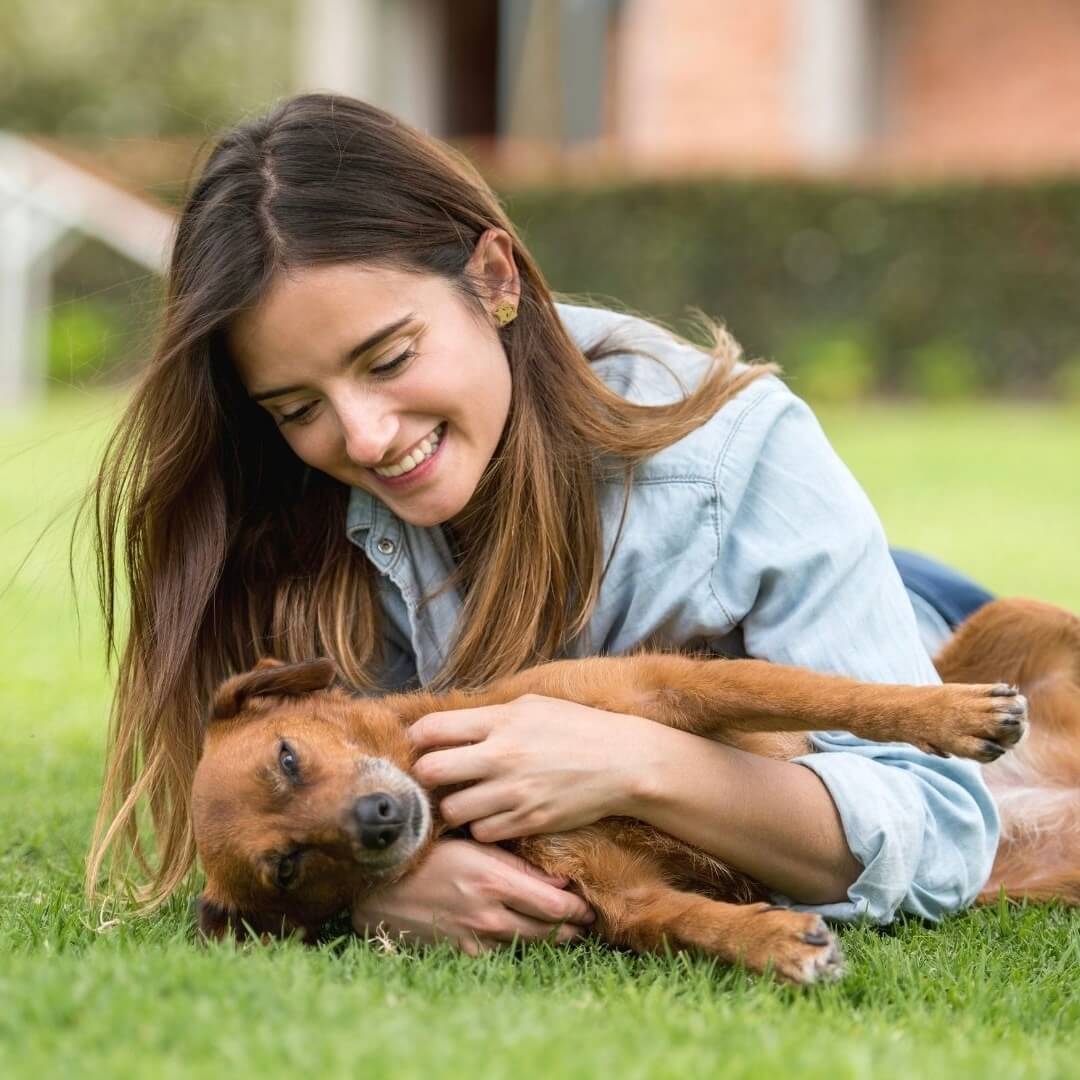 Was ist die Wirkung von Präbiotika für Hunde?