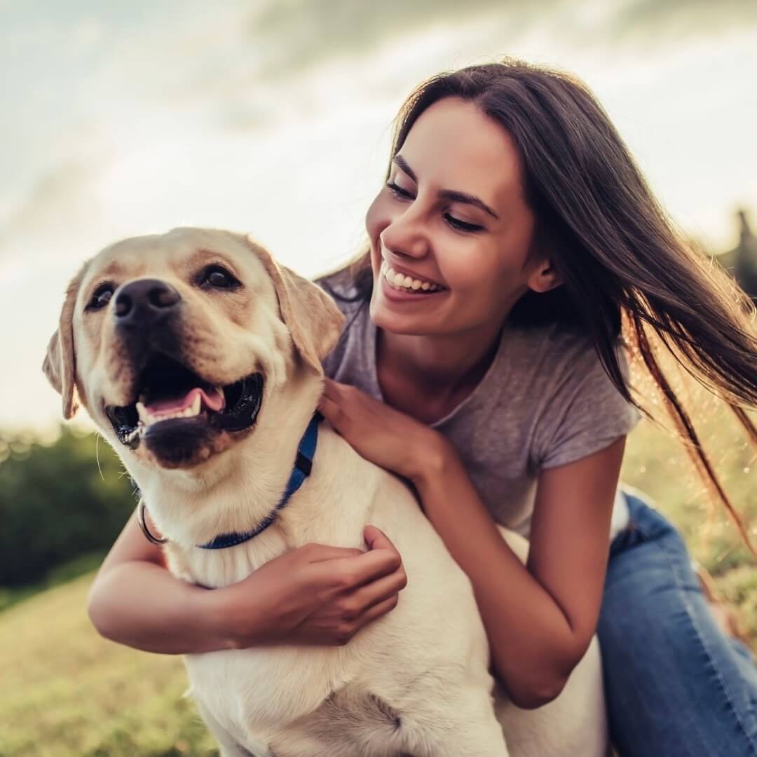 Was ist die Wirkung von Ginkgo für Hunde?