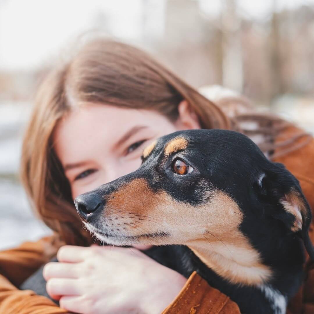 Was ist die Wirkung von Kamille für Hunde?