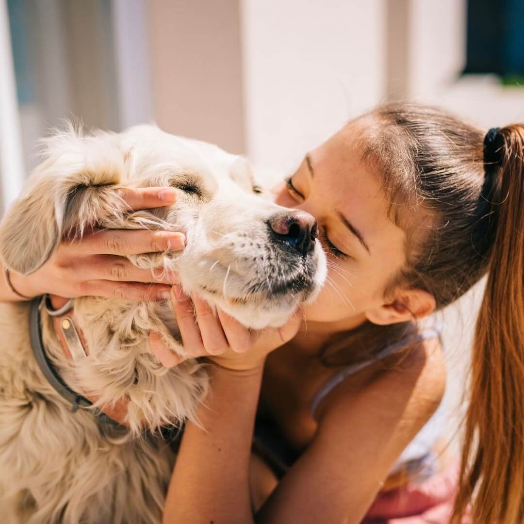 Was sind potenzielle Nebenwirkungen von MSM für Hunde?