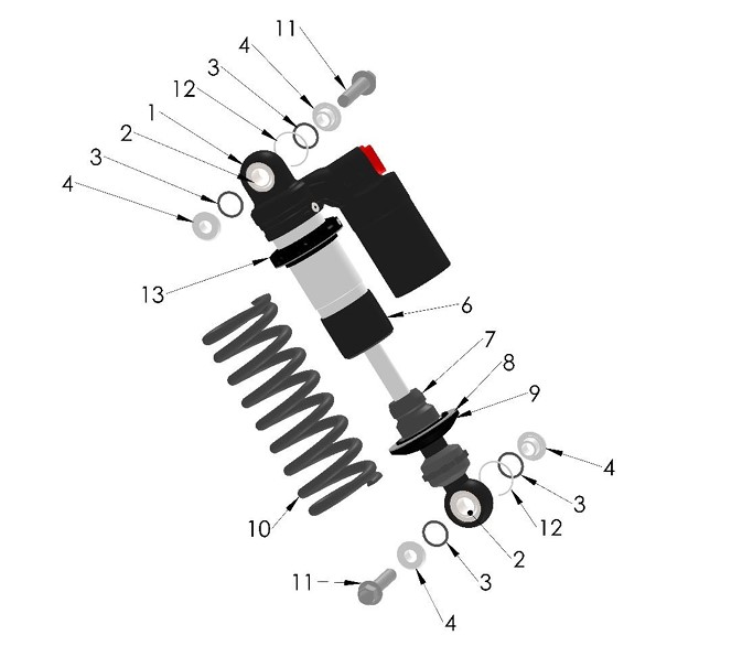 SHOCK EXTERNAL