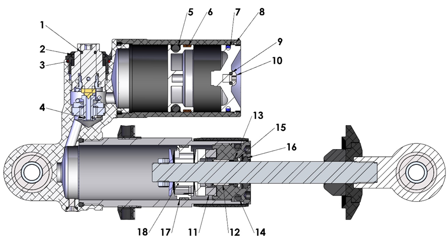 SHOCK - INTERNAL