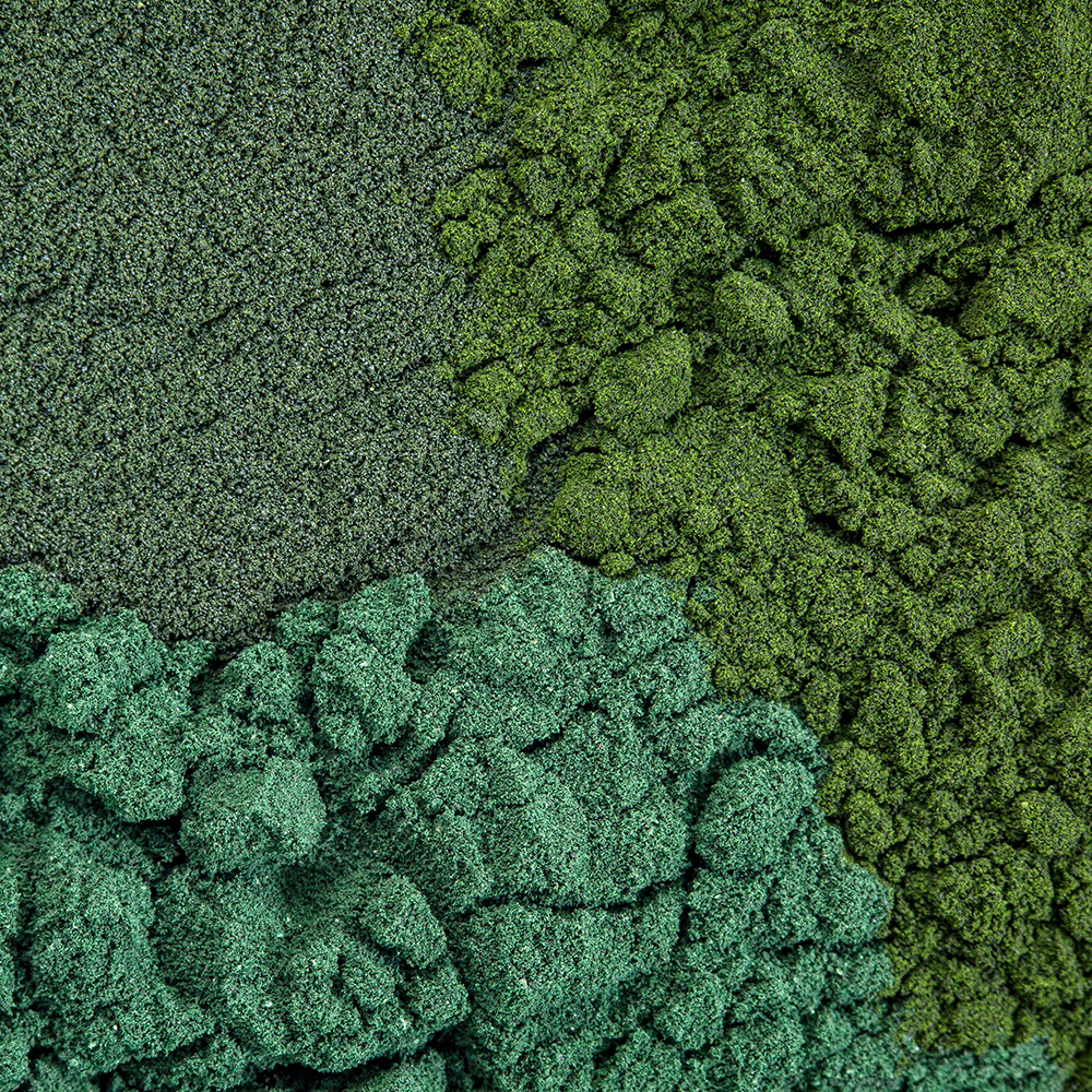 Leafy greens & sea greens blend