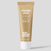 7.0 - lightest brown + champagne blonde