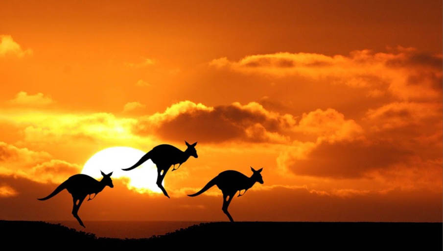Ozdingo