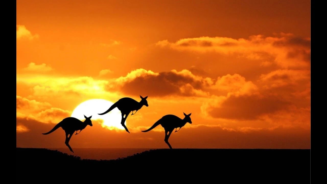Ozdingo