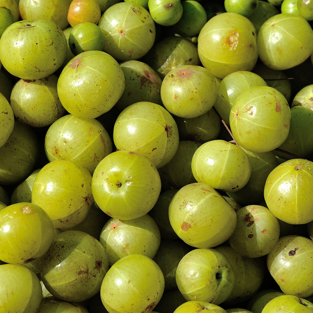 Amla berries