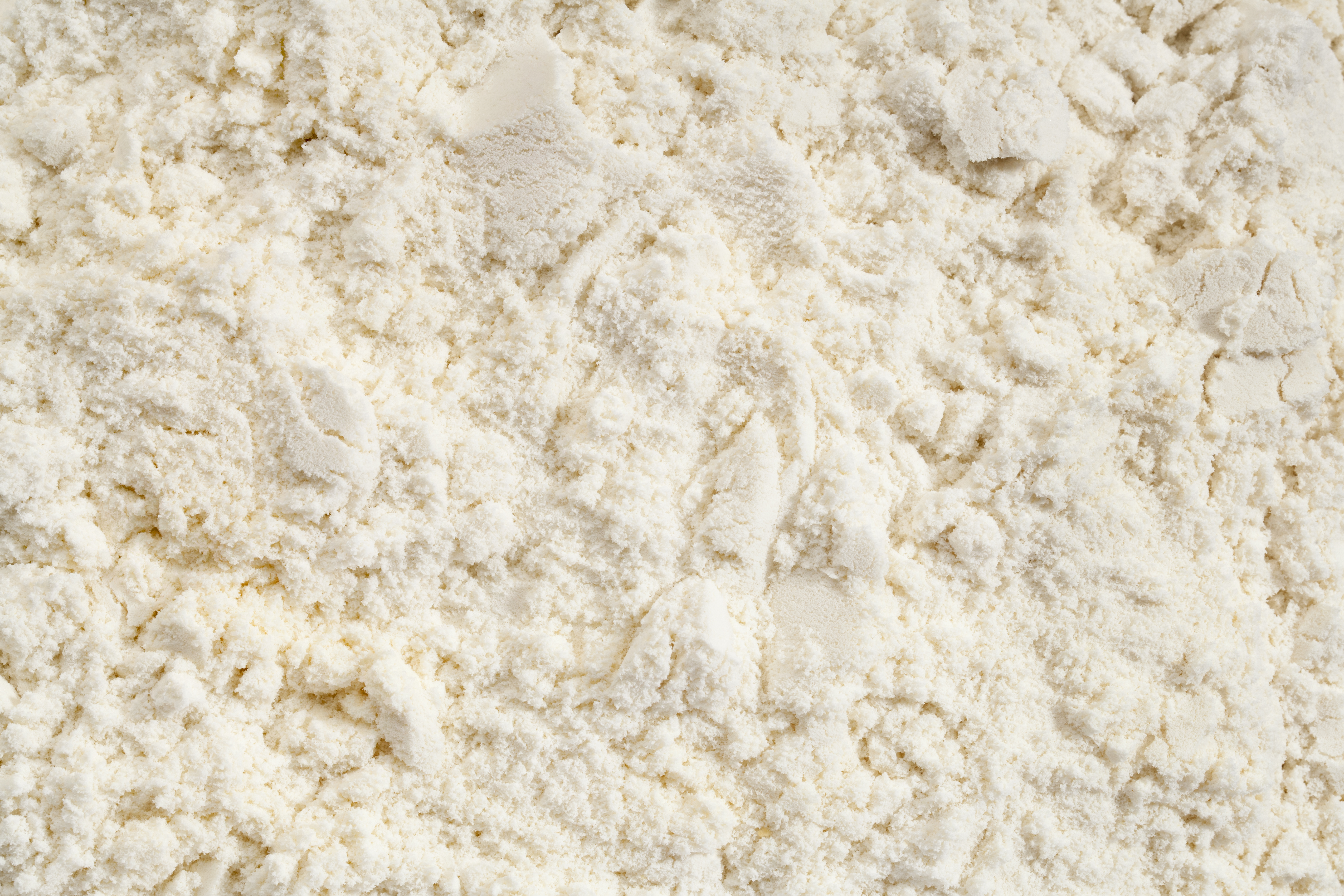 Lactobacillus Casei