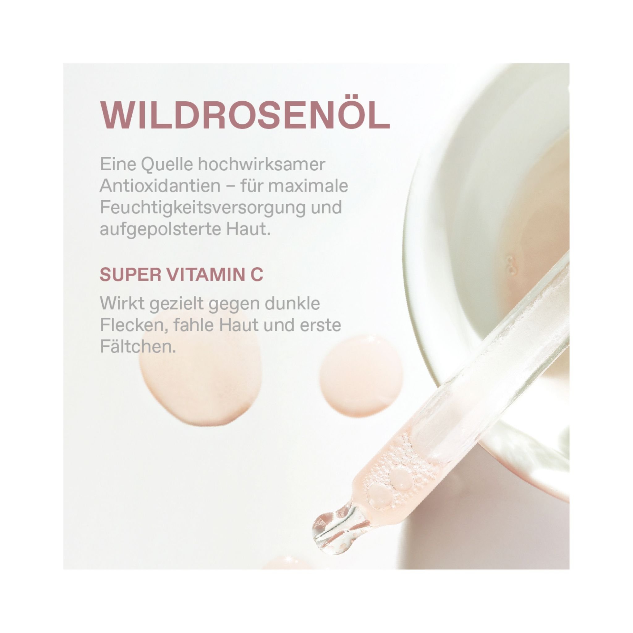 APOTHECARY WILD ROSE Strahlender Teint - Expert Duo Thumbnail 6
