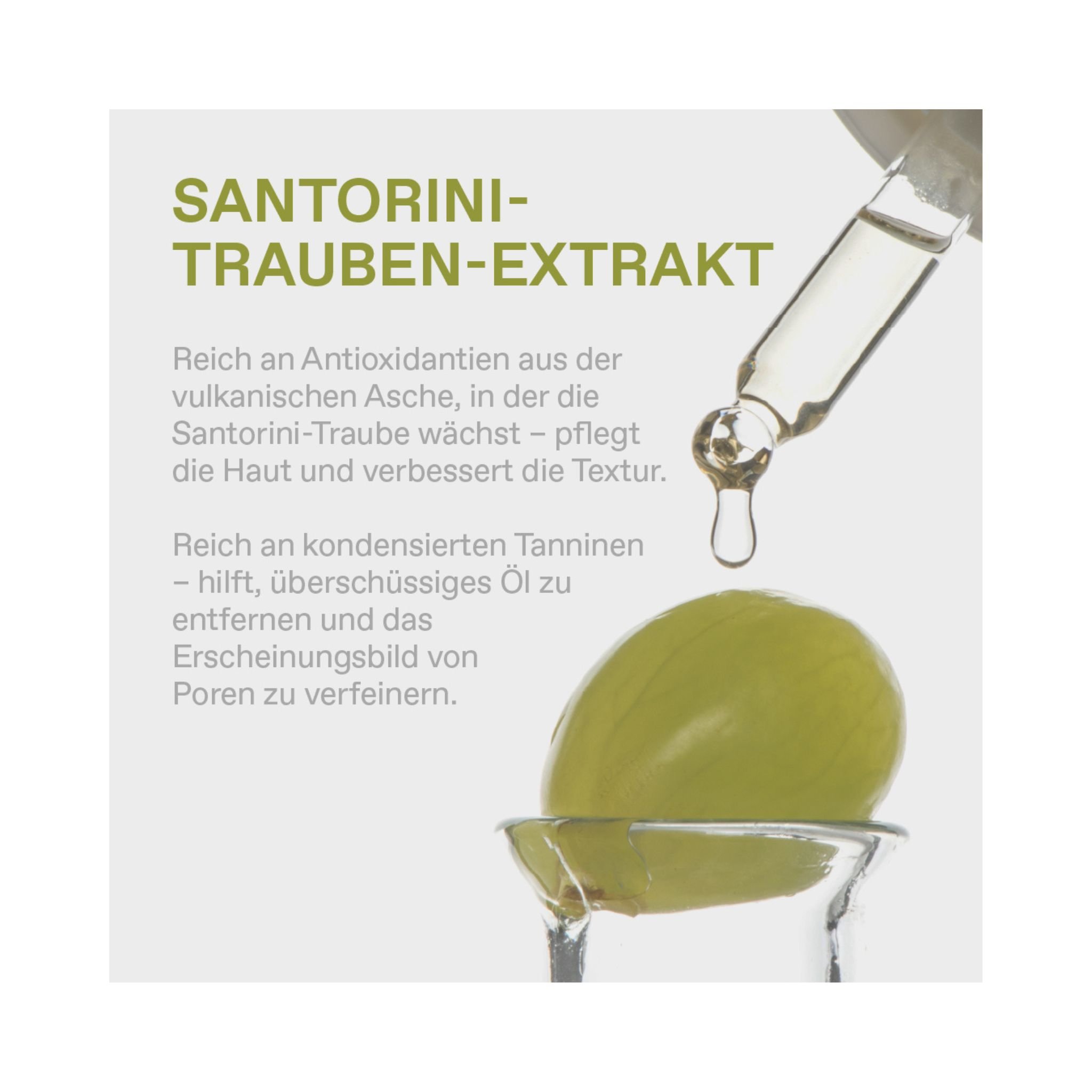 SANTORINI GRAPE Porenverfeinerndes Expert Duo Thumbnail 6