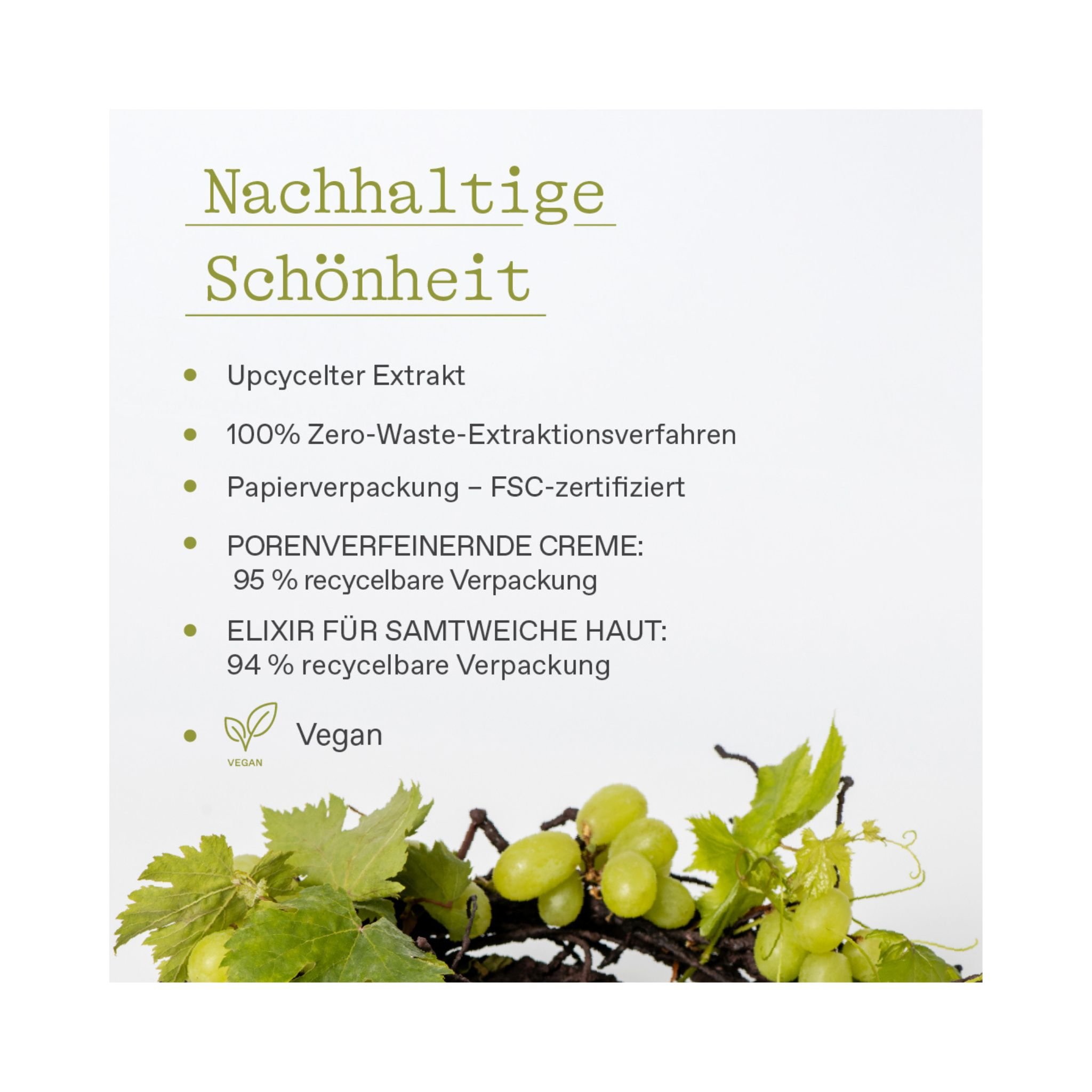 SANTORINI GRAPE Porenverfeinerndes Expert Duo Thumbnail 7