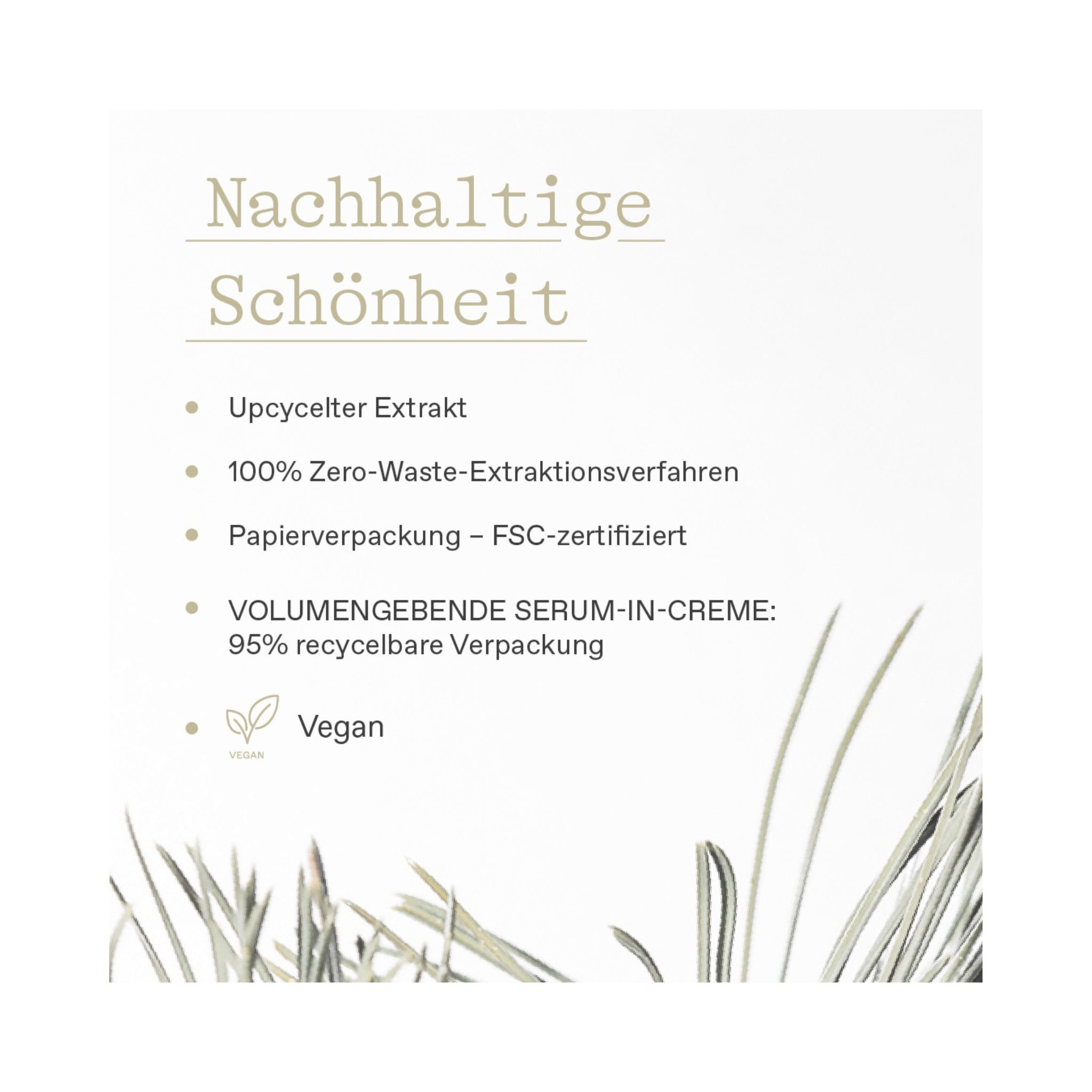 WHITE PINE Meno Reverse - Expert Duo Thumbnail 7