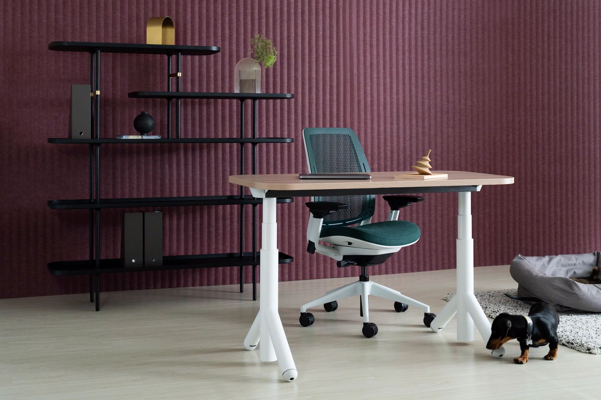 Flex Height Adjustable Desk Steelcase Australia