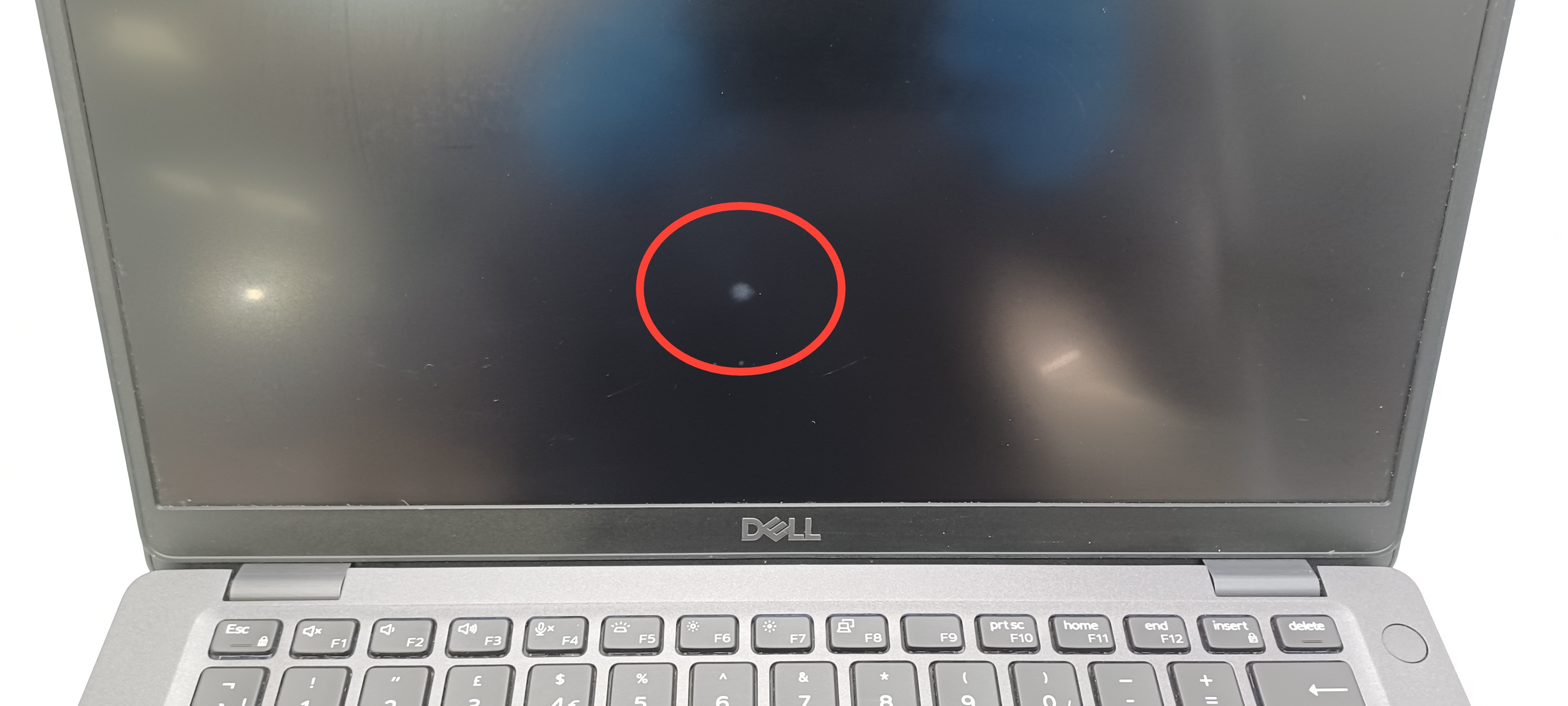 Device #1 - White spots on screen, left mouse button working but a little spongy feeling