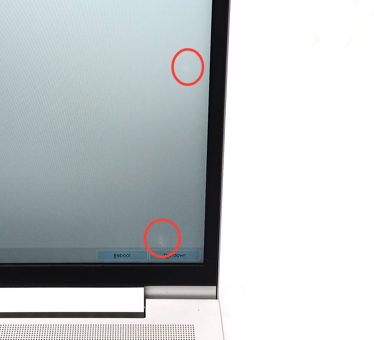 Device #1 - 2 white spots on the screen