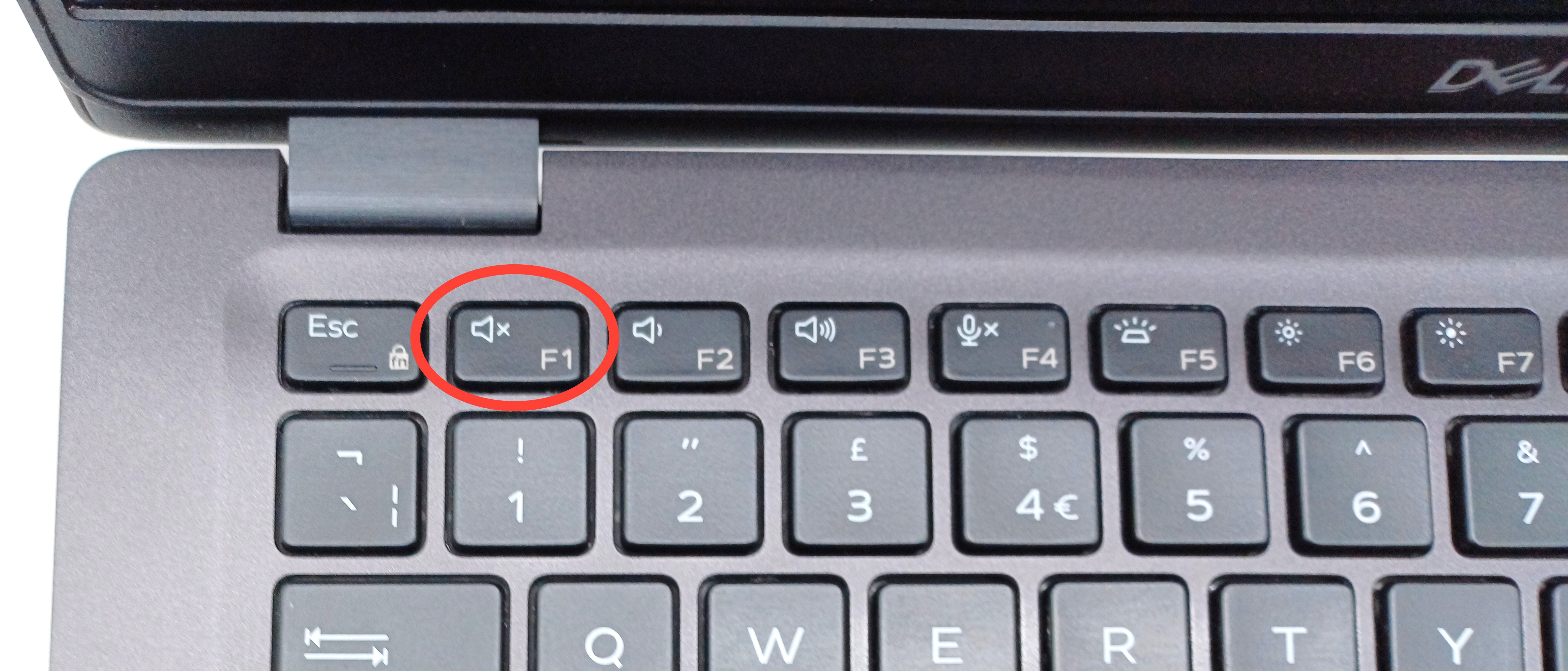 Device #2 - F1 key not functional