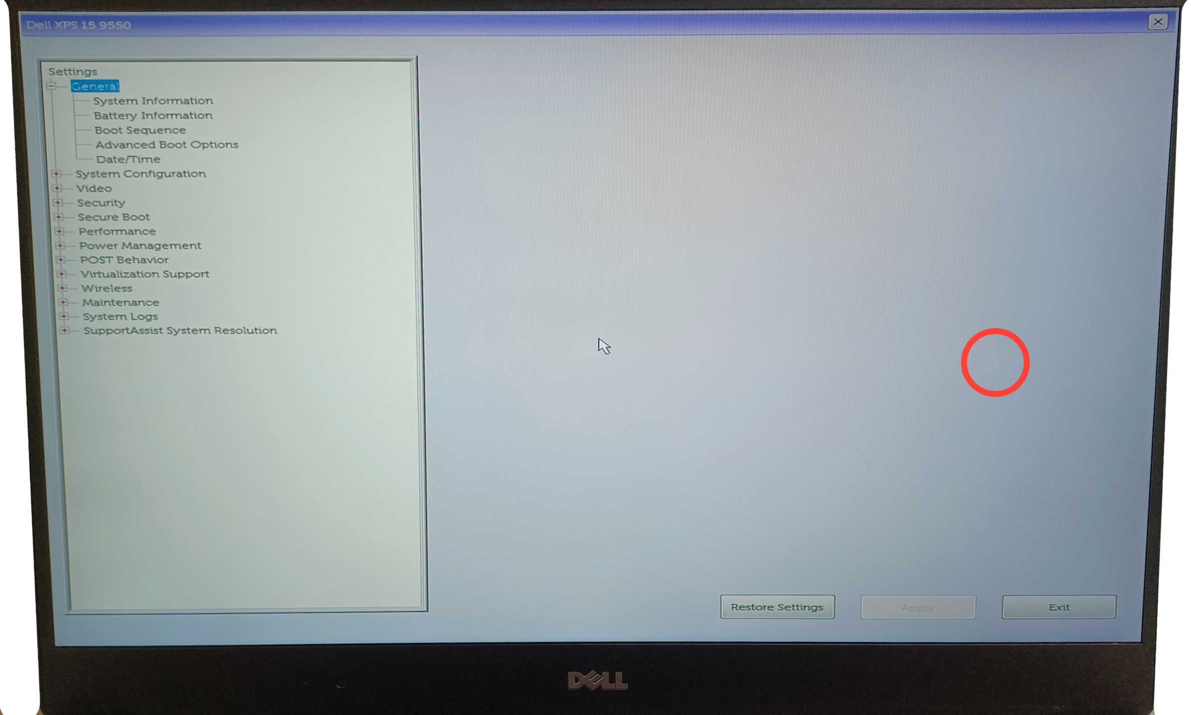 Device #1 - small white spot on screen, some other minor dark areas but these are hardly visible on most backgrounds