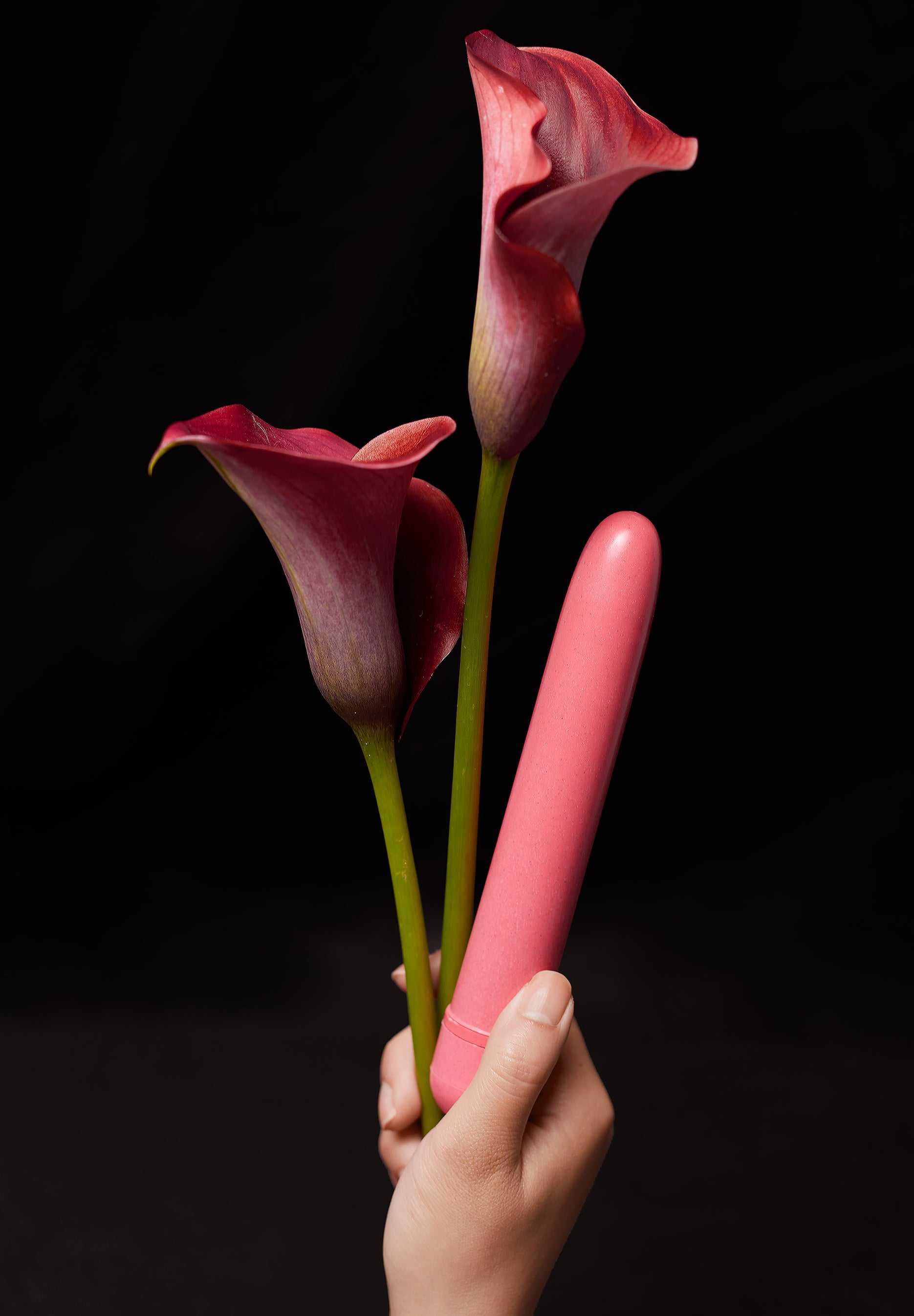 Playful Guide to Sex Toys Playful Promises Australia Playful Guide to Sex Toys Playful Promises Australia