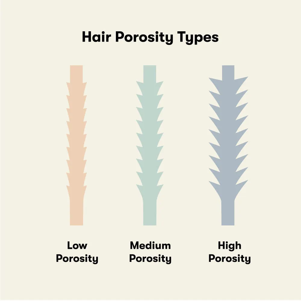 Hair Porosity What is hair porosity  why it matters  Luxy Hair