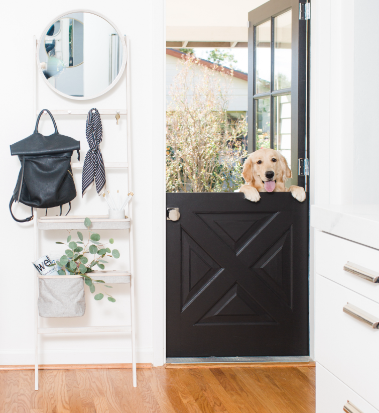 #CutestLittleKitchenProj Backdoor with Golden Retriever