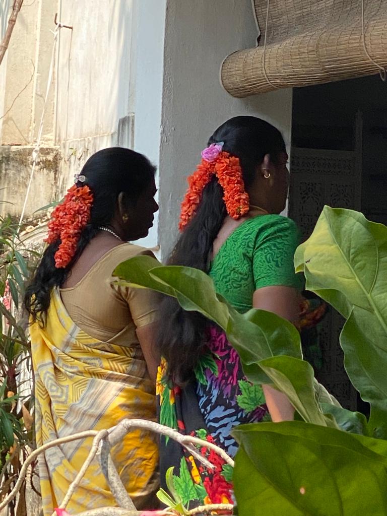 Scenery in India.