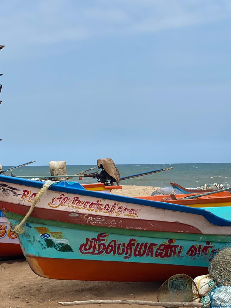 Scenery in India.