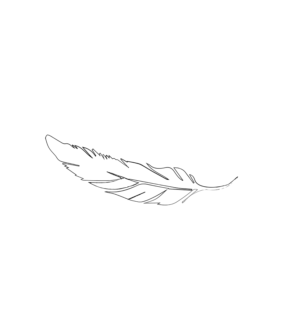 illustration of a feather