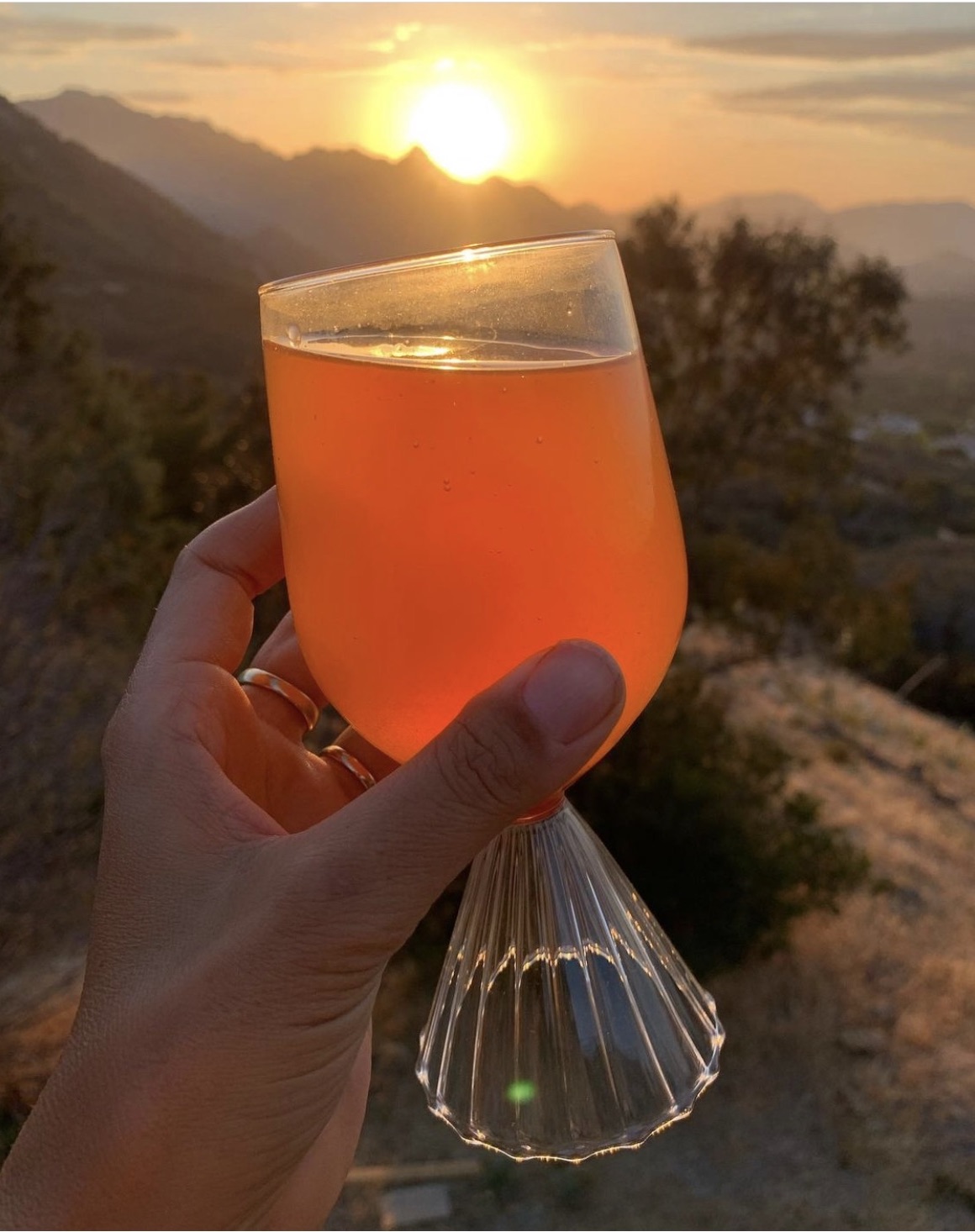 Wine glass