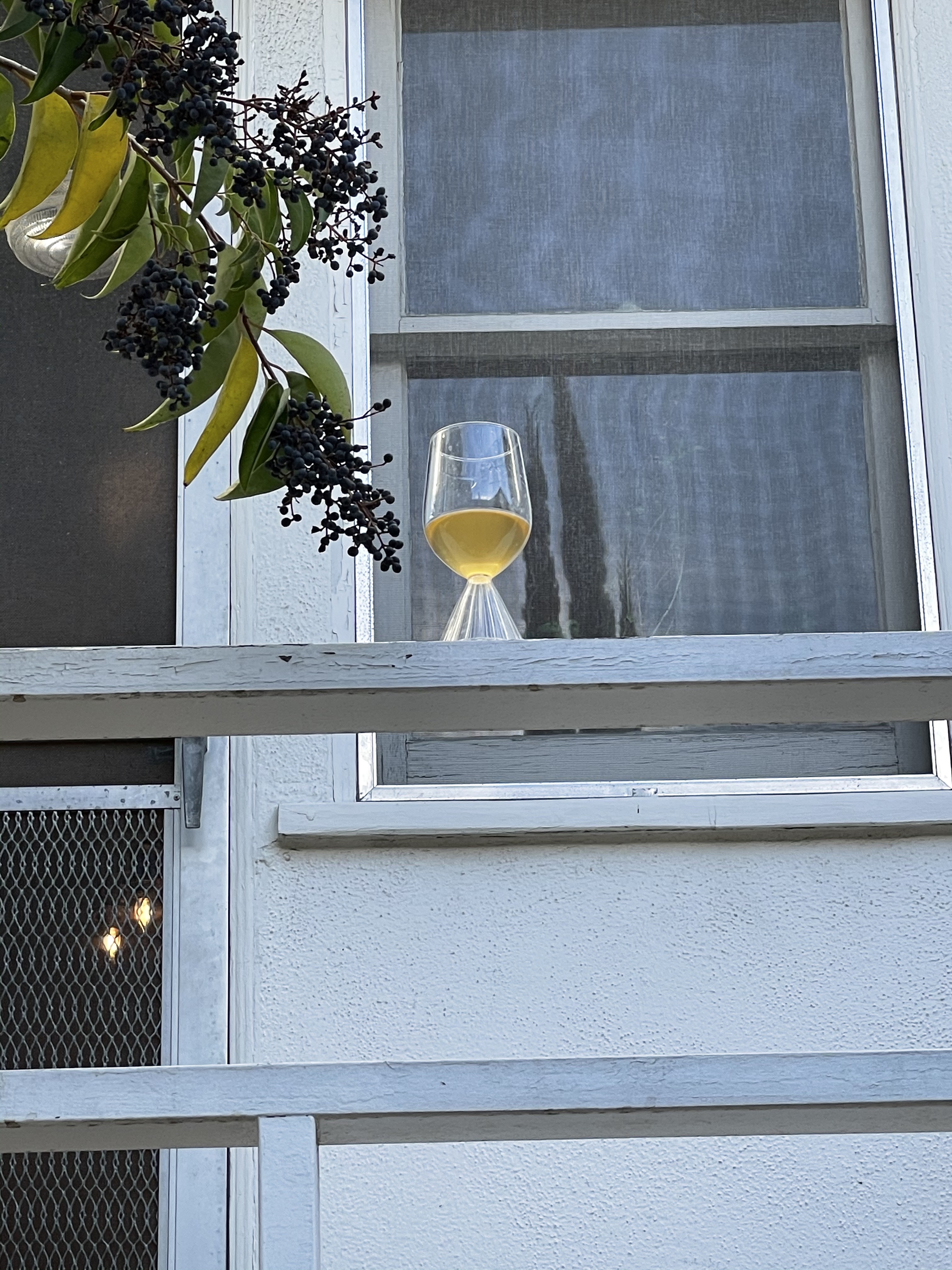 Wine glass