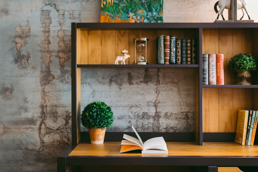 Minimalistic brown and black bookshelf with plants