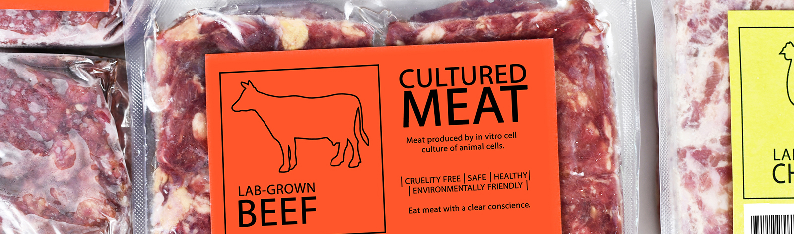 Cultured Meat - Lab Grown Beef