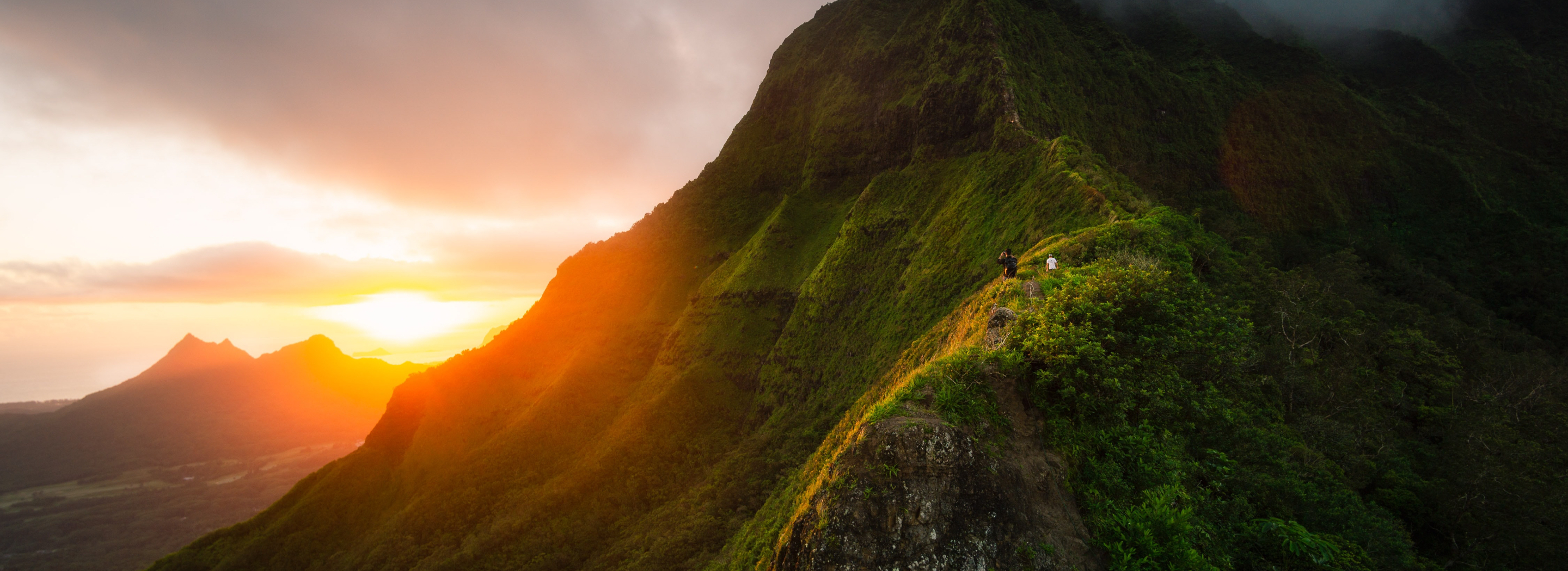 olukai nohie