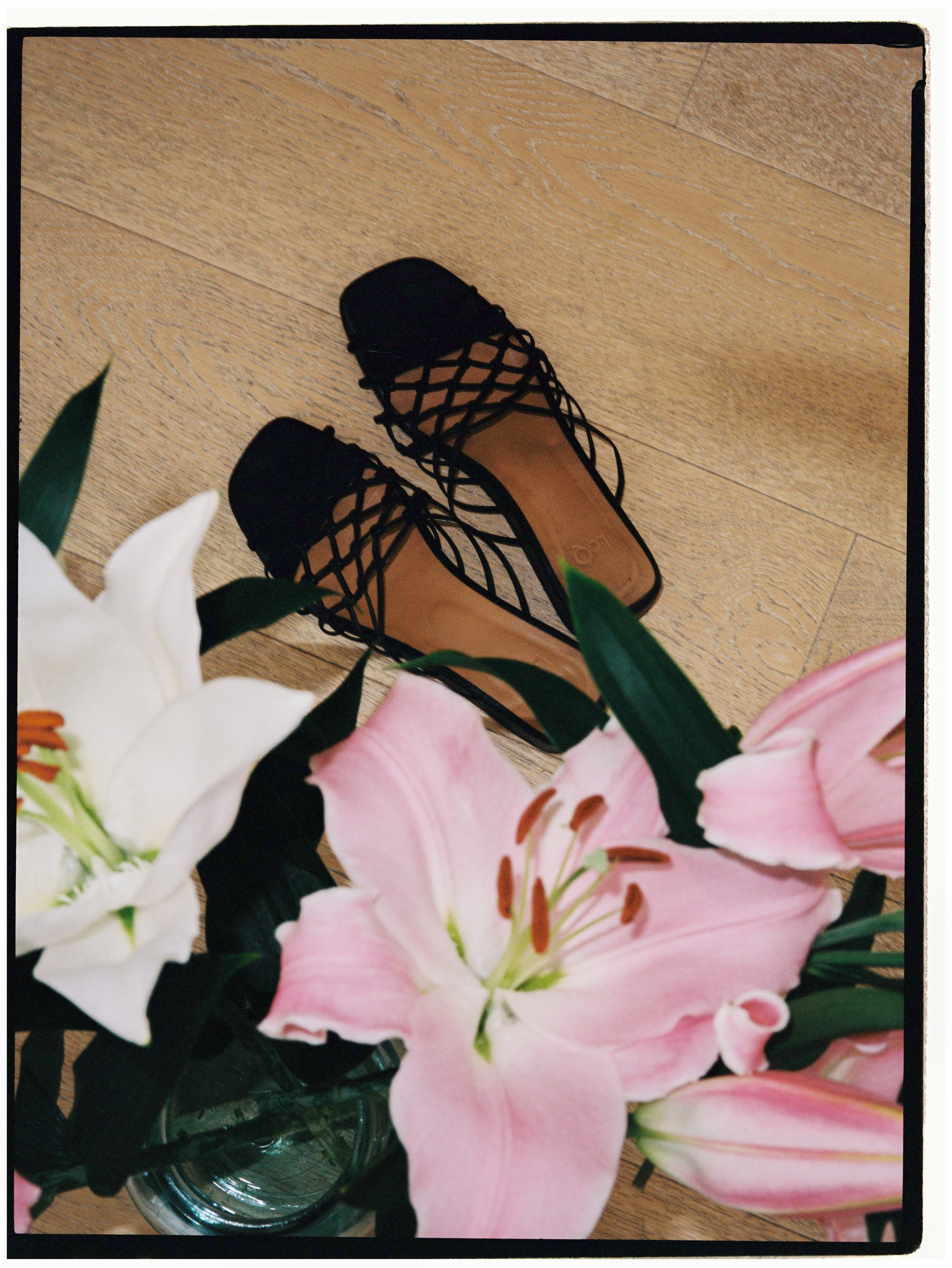 Photo Journal: Pia Riverola