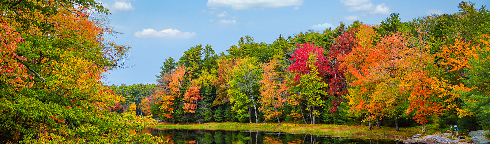 Colorful fall foliage tree reflections in calm pond water