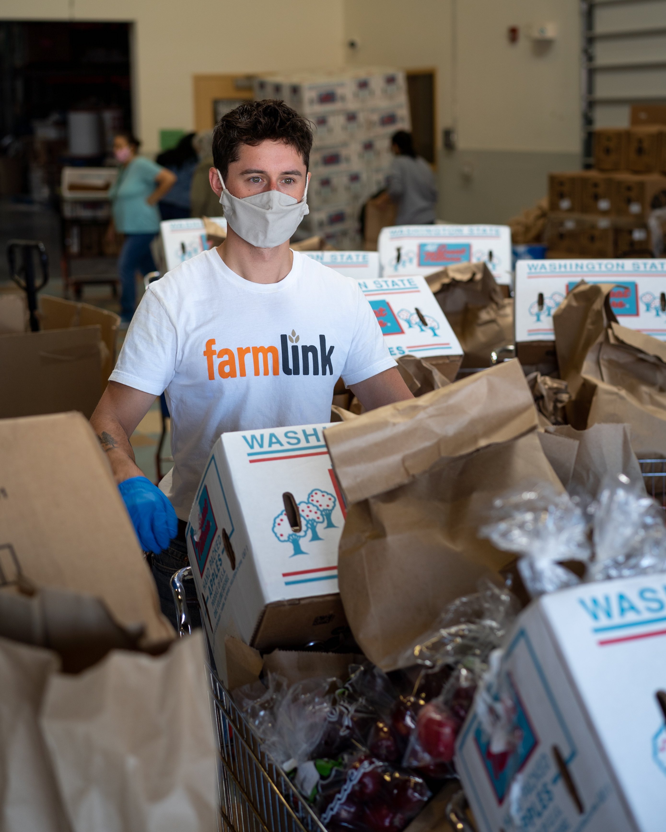Farmlink The Farmlink Project is Feeding Millions from Surplus Food – Brightland