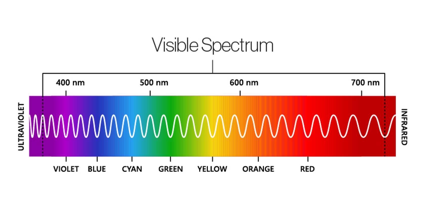 Visible spectrum of light from ultraviolet to infrared