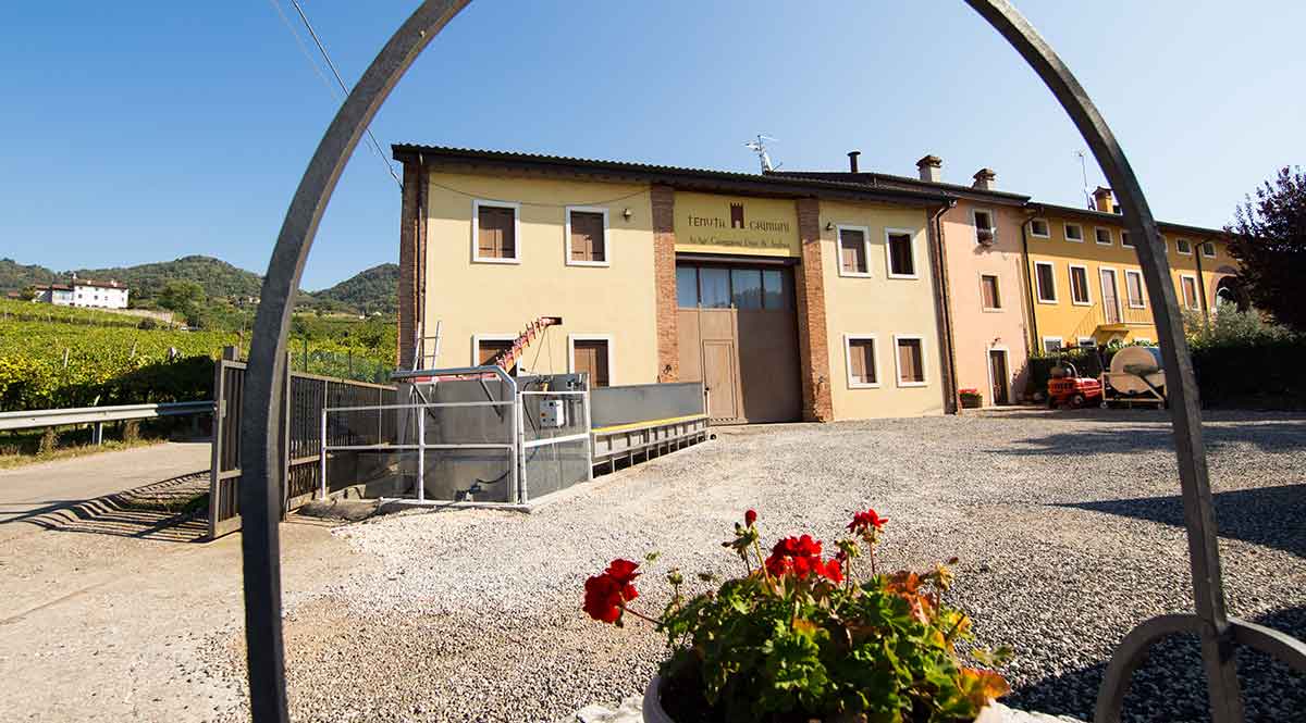 Tenuta Grimani