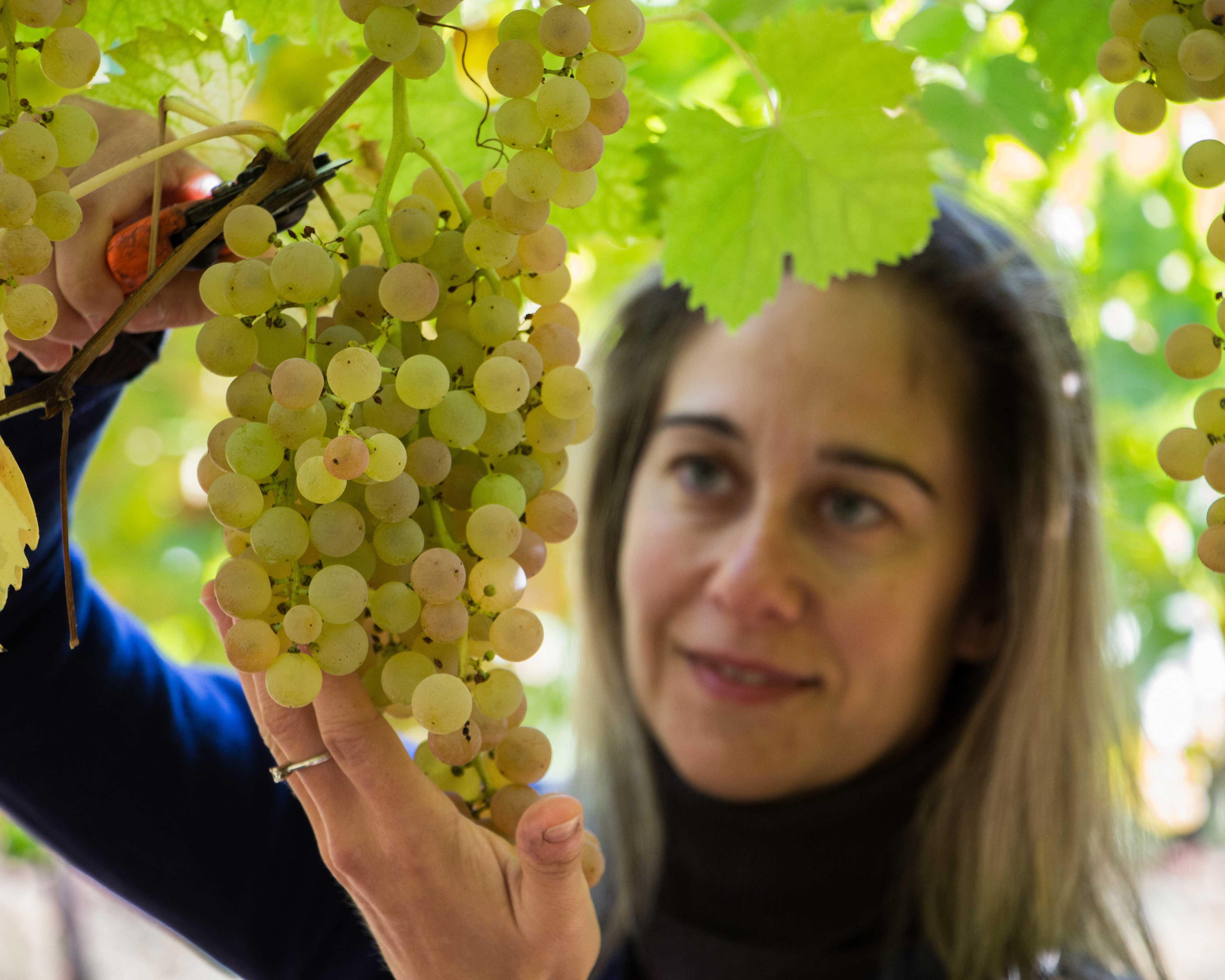 Tenuta Grimani