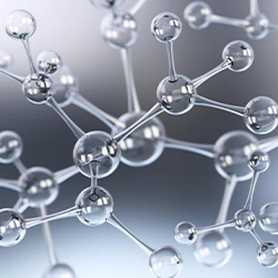 Beauty and the Boutique