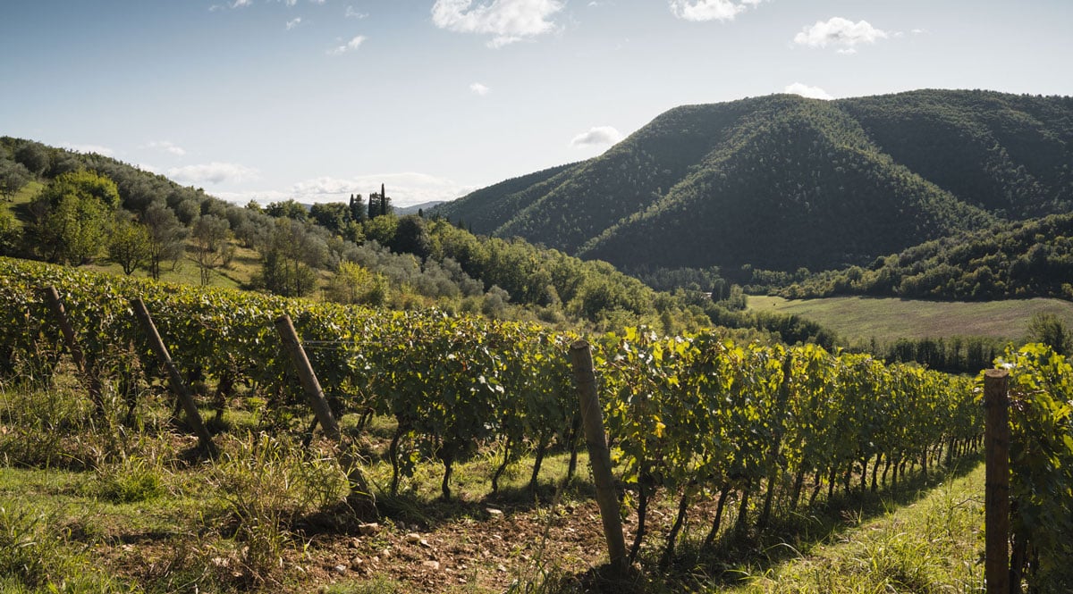 Castello del Trebbio