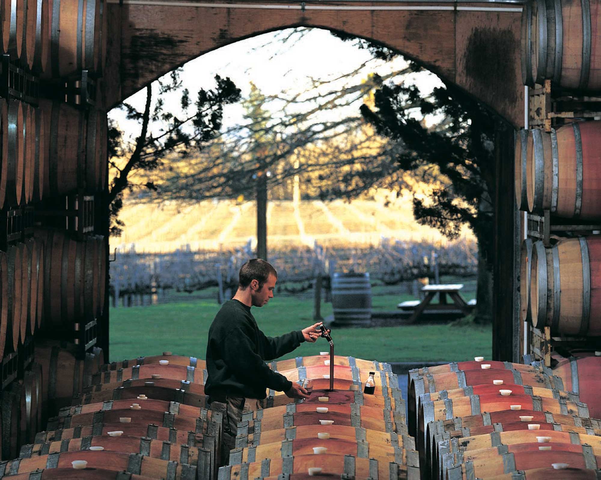 1849 Wine co. (1849 ワイン)